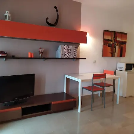 Апартаменты Playa Paraiso Ocean View Wifi Адехе